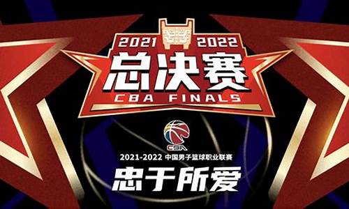 2011年总决赛nba_2011年总决赛