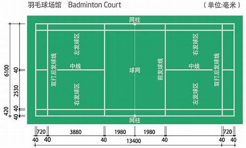 羽毛球场地的标准尺寸图双打_羽毛球场地尺